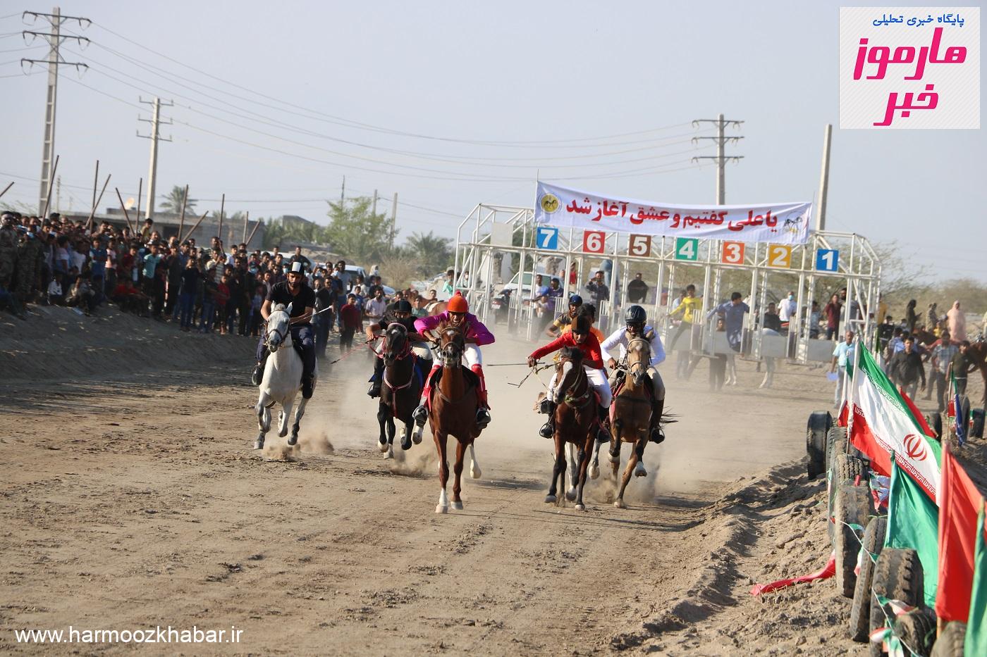 سومین دوره مسابقه کورس اسب دوانی جنوب کشور در میناب برگزارشد